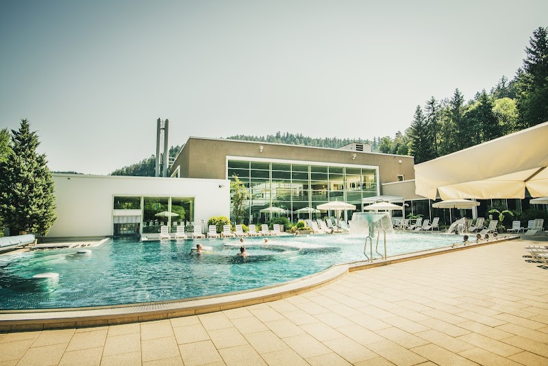 Paracelsus-Therme & Sauna Pinea Bad Liebenzell Black Forest - Medical Spa in Black Forest