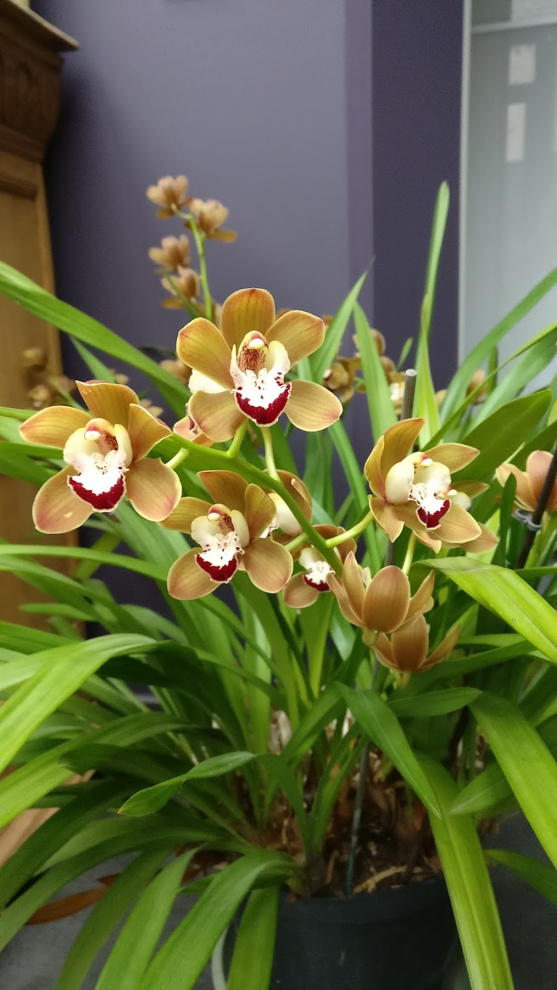 Passion Shiatsu La Louvière - Day Spa in La Louvière