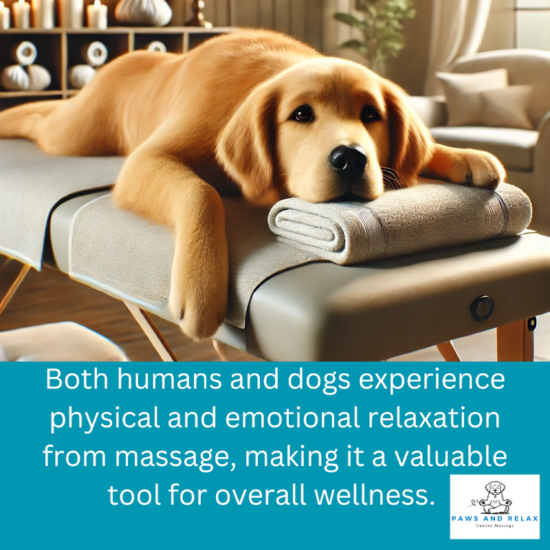 Paws and Relax Destin - Day Spa in Destin