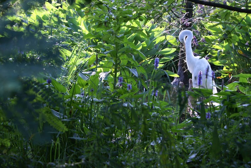 Peaceful Panda Massage Satellite Beach - Day Spa in Satellite Beach