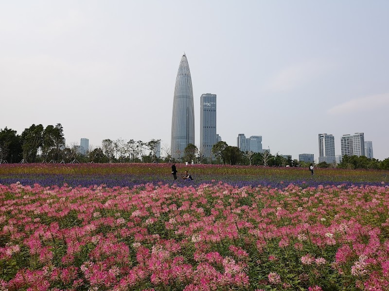 Peach Blossom Land Shenzhen - Day Spa in Shenzhen