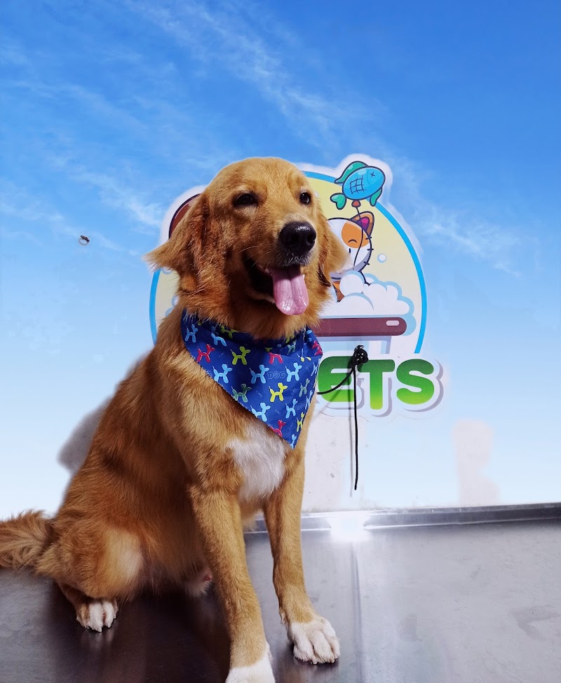 Pelupets Servicios Veterinarios Florencia - Day Spa in Florencia