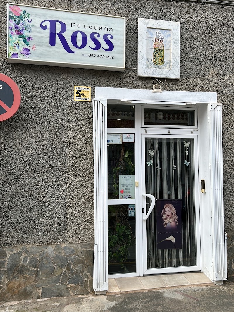 Peluquería ROSS Valdivia - Day Spa in Valdivia