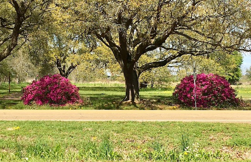Perfect Time Farm Ville Platte - Day Spa in Ville Platte