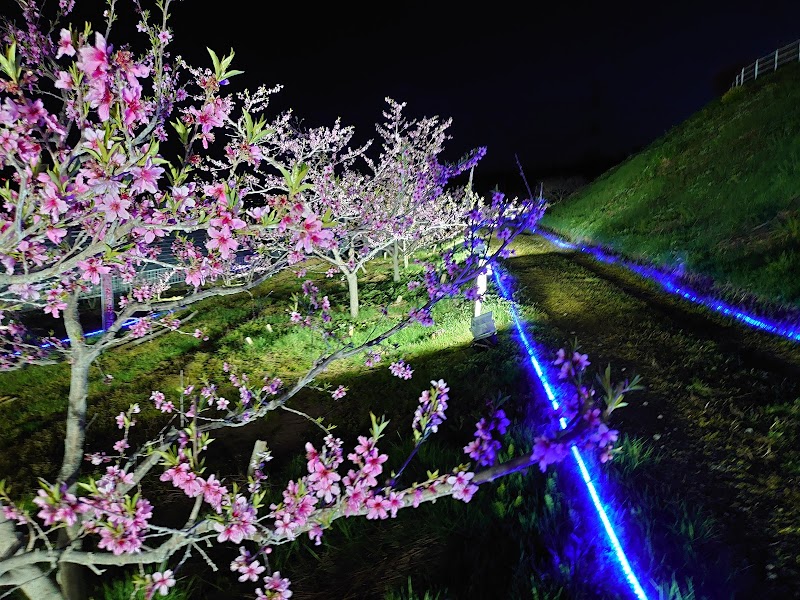 Pia Park, Tourinbo, Peach Village Kariwa Kariwa District Kariwa Village - Day Spa in Kariwa District Kariwa Village