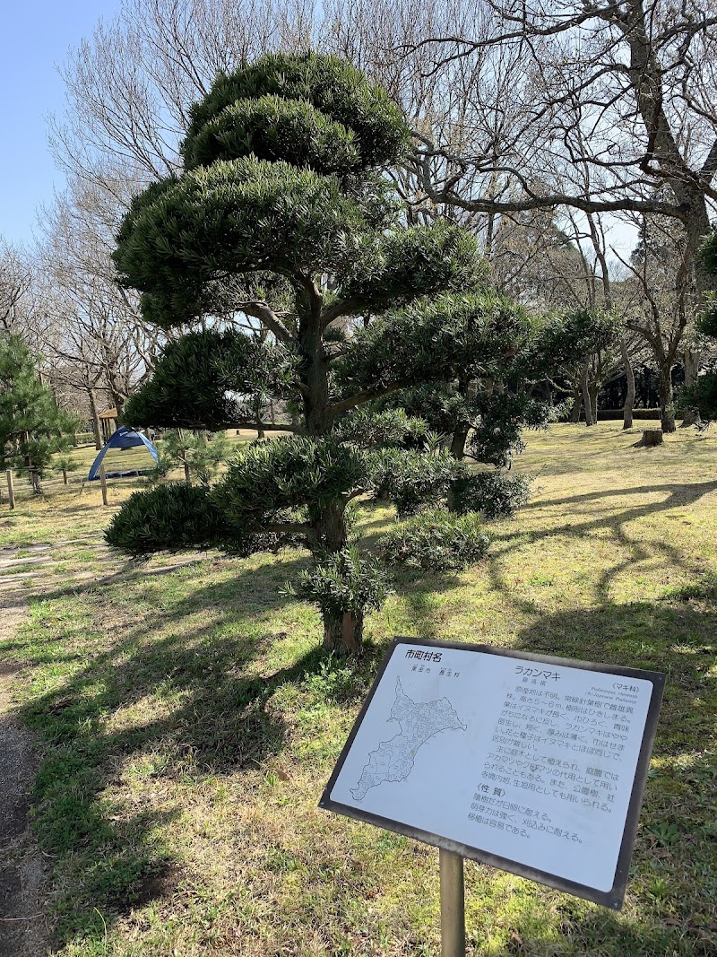 Midori Ward, Chiba City pics - Day Spa in Midori Ward, Chiba City