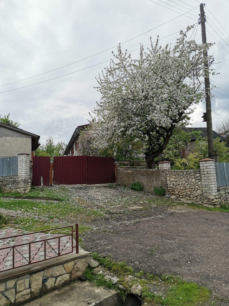 Pidhorodne Ternopilskyi Raion - Day Spa in Ternopilskyi Raion