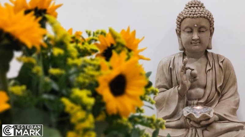 Piedad Riascos Estetica Castellón - Day Spa in Castellón