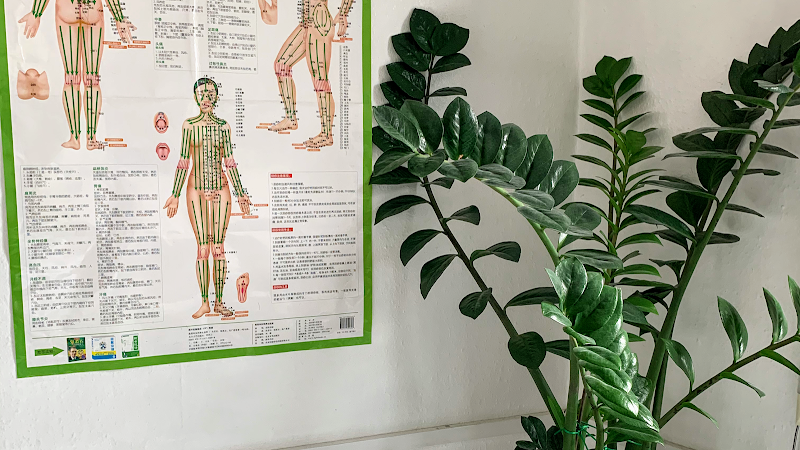 Ping Traditional Chinese Massage Luxembourg - Day Spa in Luxembourg