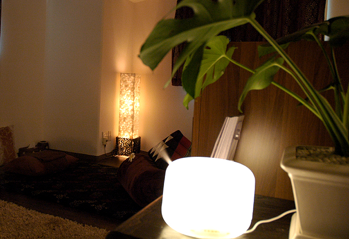 Plumeria - Plumeria - Itabashi, Tokyo Basalt & Reflexology & Aroma Itabashi City - Day Spa in Itabashi City