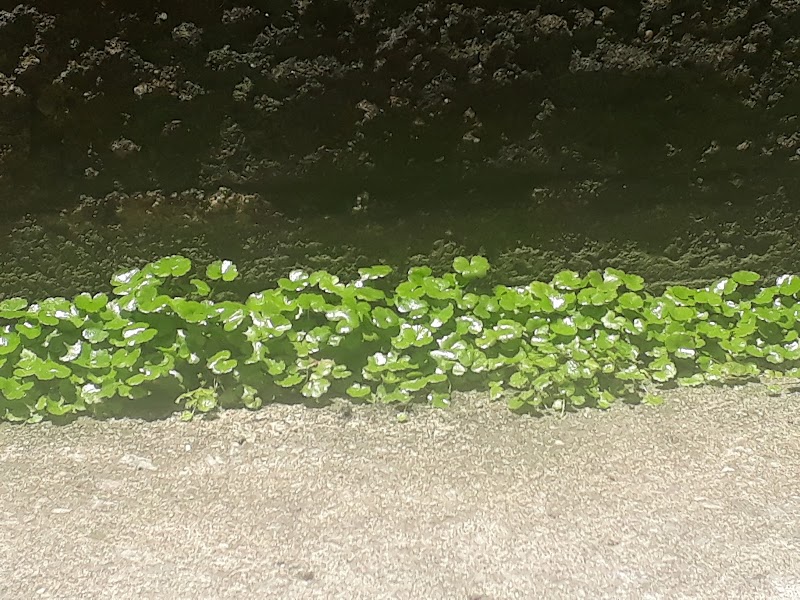 Praia De Minas Bronzeamento Pará de Minas - Day Spa in Pará de Minas