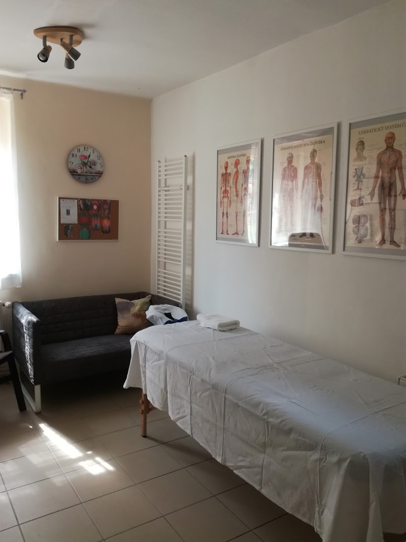 Prevence bolesti zad Ústí nad Labem - Day Spa in Ústí nad Labem