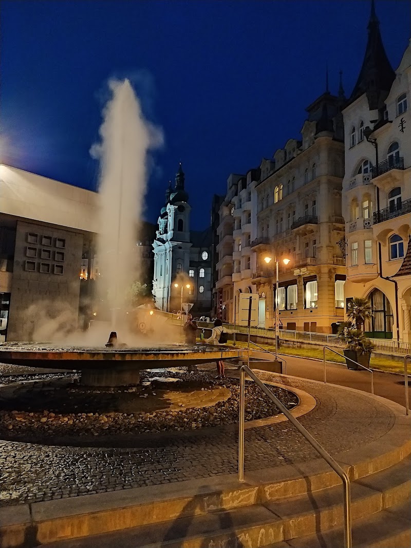 Prezident Karlovy Vary - Hotel Spa in Karlovy Vary