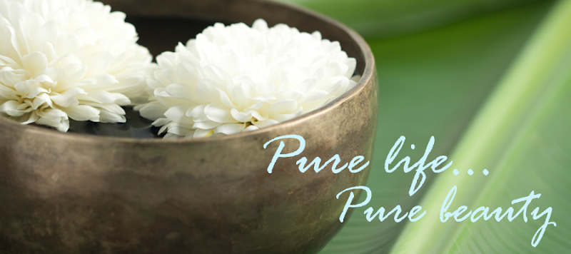 Pure Indulgence Organic Day Spa Morehead City - Day Spa in Morehead City