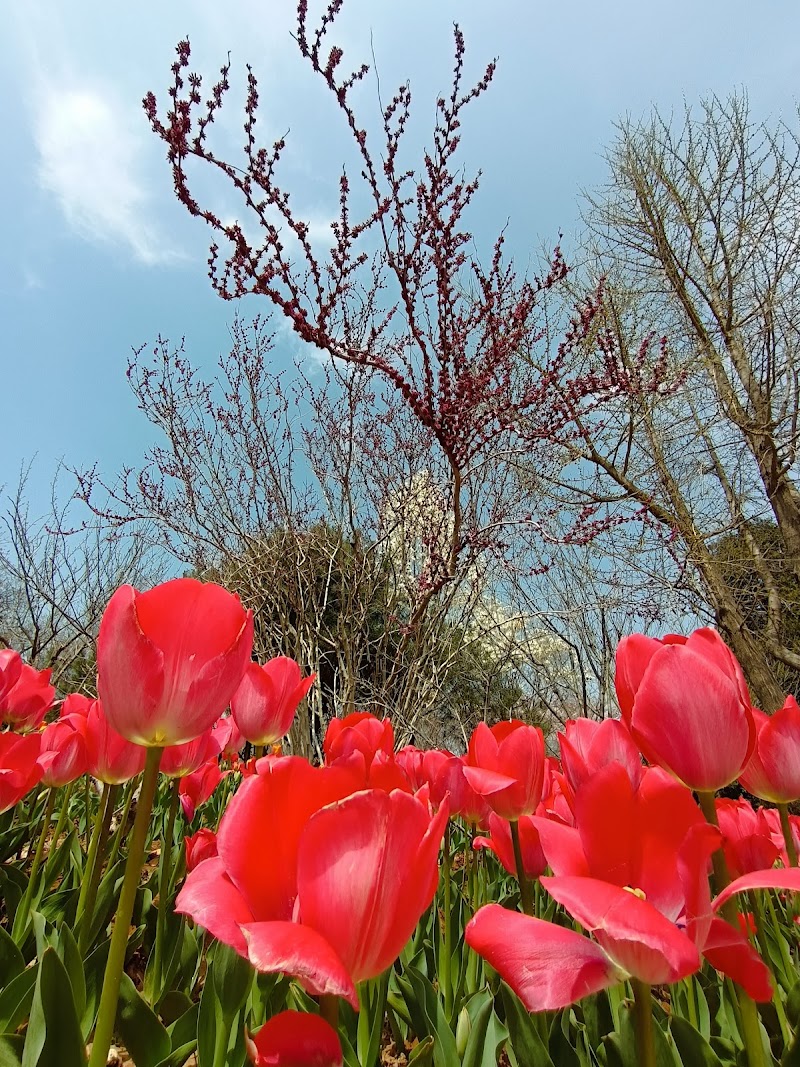 Qingzhu Garden Qingdao - Day Spa in Qingdao