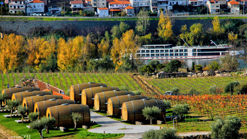 Quinta da Pacheca Douro Valley - Hotel Spa in Douro Valley