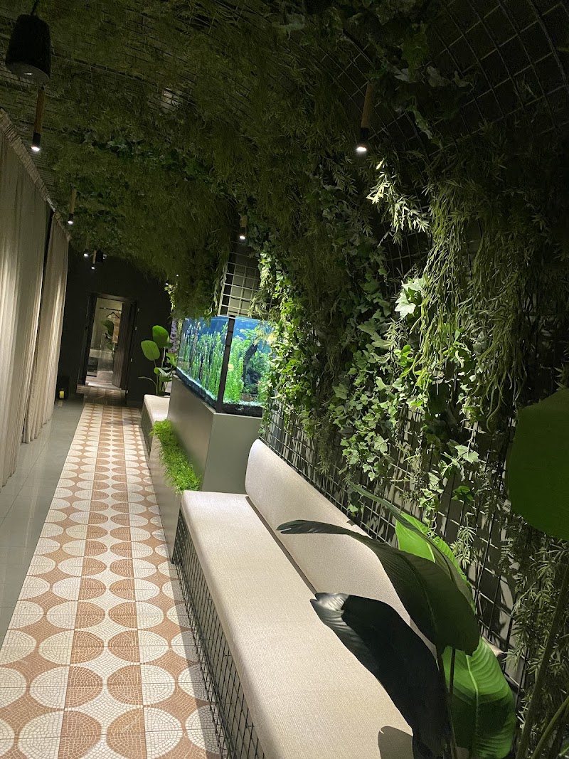 Rainforest Men's Spa Qatar St