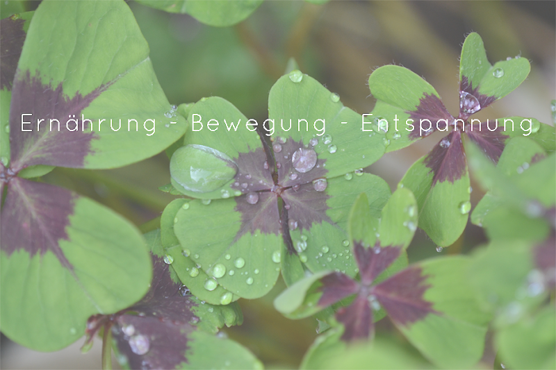 Raum für Zeit Frankfurt am Main - Day Spa in Frankfurt am Main