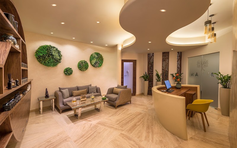 Rayya Wellness Dubai photo