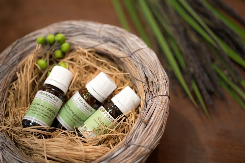 Refre Garden & Natural Healing School Tottori City - Day Spa in Tottori City