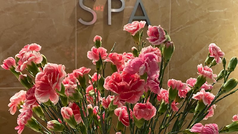 Relax Massage Heaven Linwood - Day Spa in Linwood