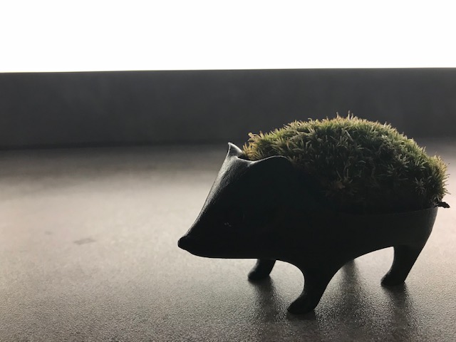 Relaxation Salon Tsukihihoshi Nanto City - Day Spa in Nanto City