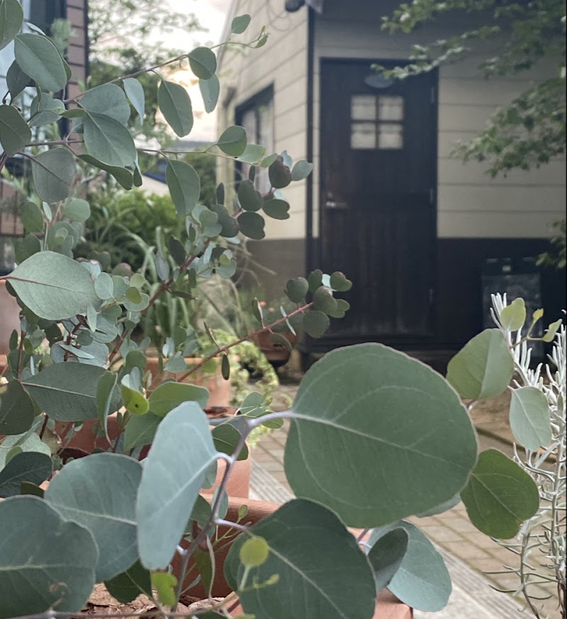 Relaxation Studio La Petite Azumino City - Day Spa in Azumino City