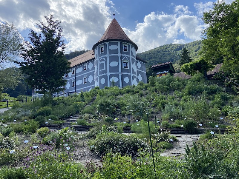 ROI  Medico & Spa Rogaška Slatina - Day Spa in Rogaška Slatina