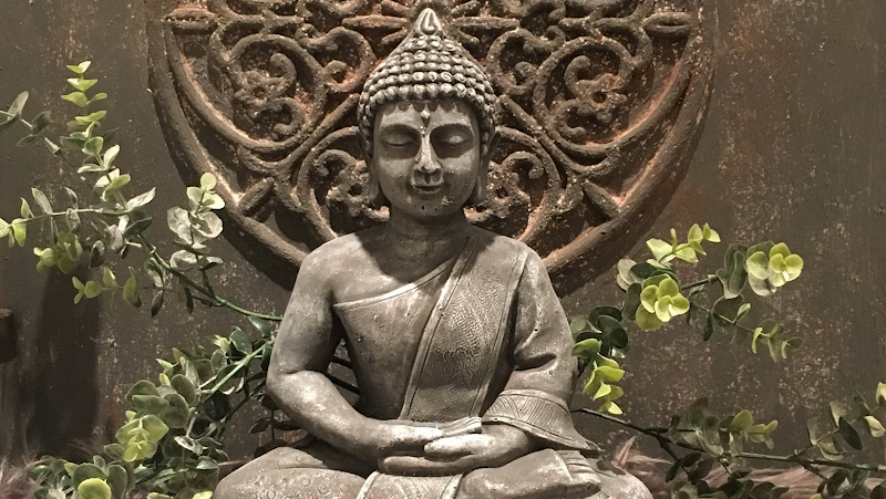 Roos Ontspanningsmassage Anna Paulowna - Day Spa in Anna Paulowna