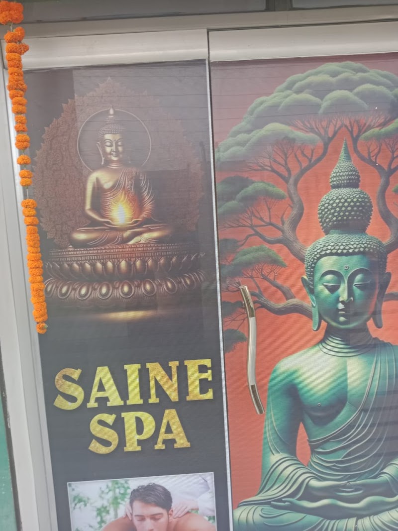 Saine Spa & Salon - Bansi Naugarh - Day Spa in Naugarh