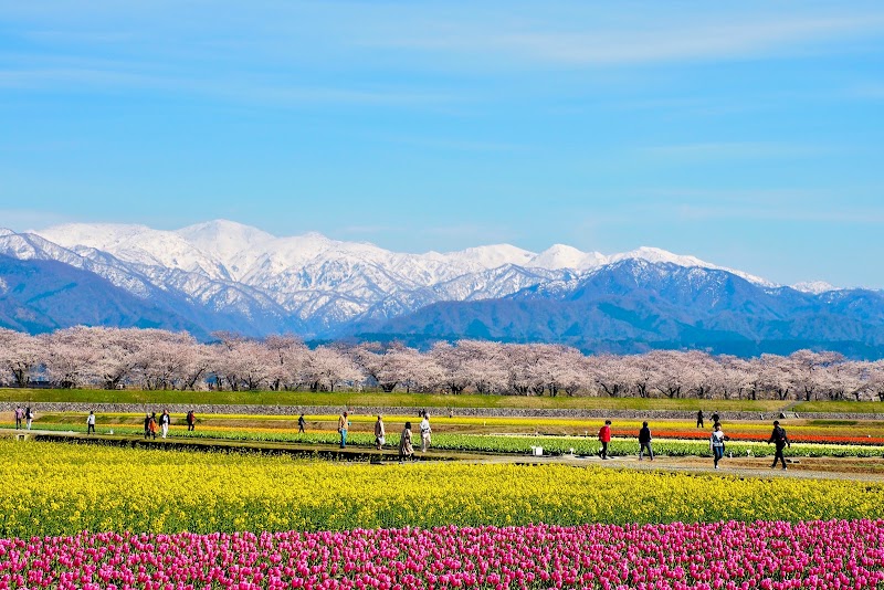 Sakai Kosen Asahi Town, Shimoniikawa District - Day Spa in Asahi Town, Shimoniikawa District