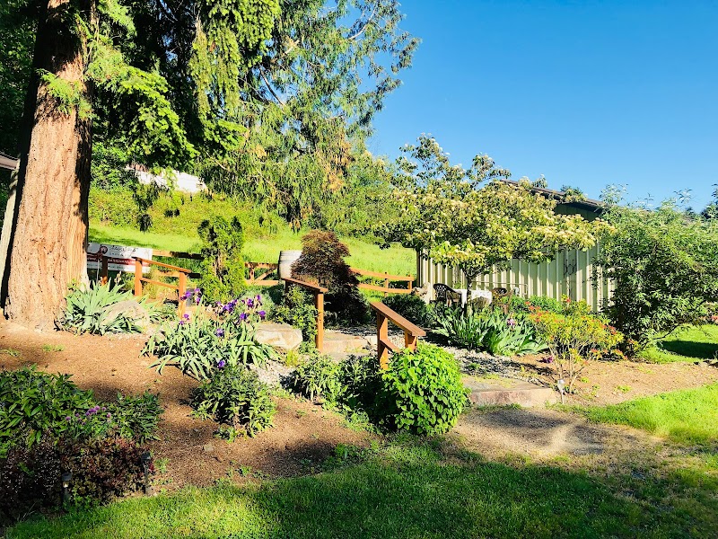 Sakura Skin & Mind Redmond - Day Spa in Redmond