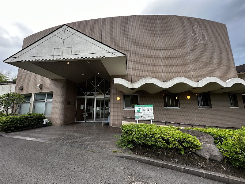 Sakurajima Shirahama Onsen Center Kagoshima - Thermal Spa in Kagoshima