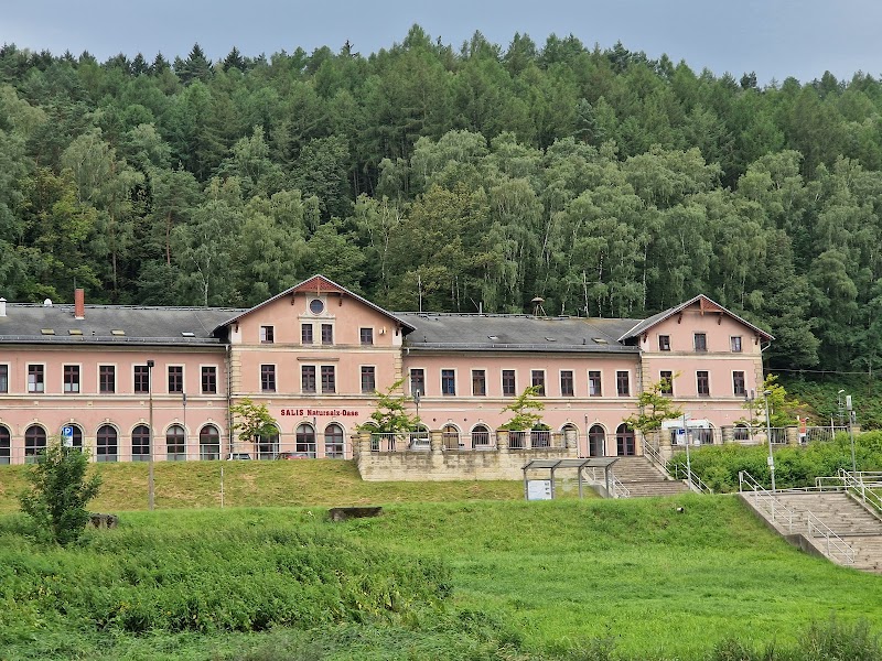 Salis Natursalzoase Bad Schandau - Day Spa in Bad Schandau