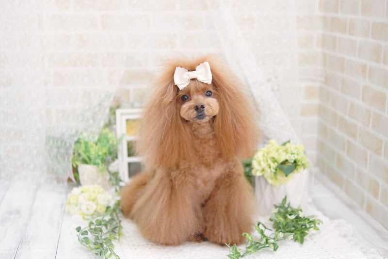 Sallon de famille Nakano Ward - Day Spa in Nakano Ward