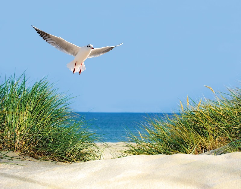 Salzinsel Hannover - Day Spa in Hannover