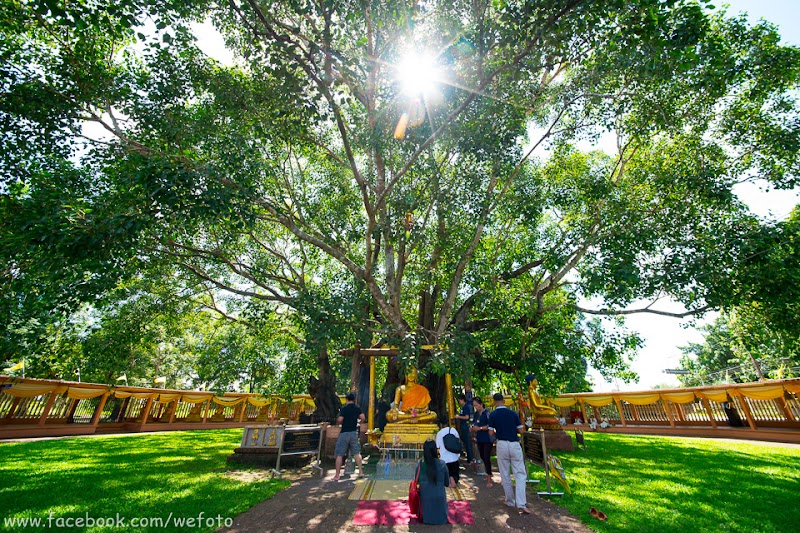 Sampat Sabai Si Maha Phot - Day Spa in Si Maha Phot