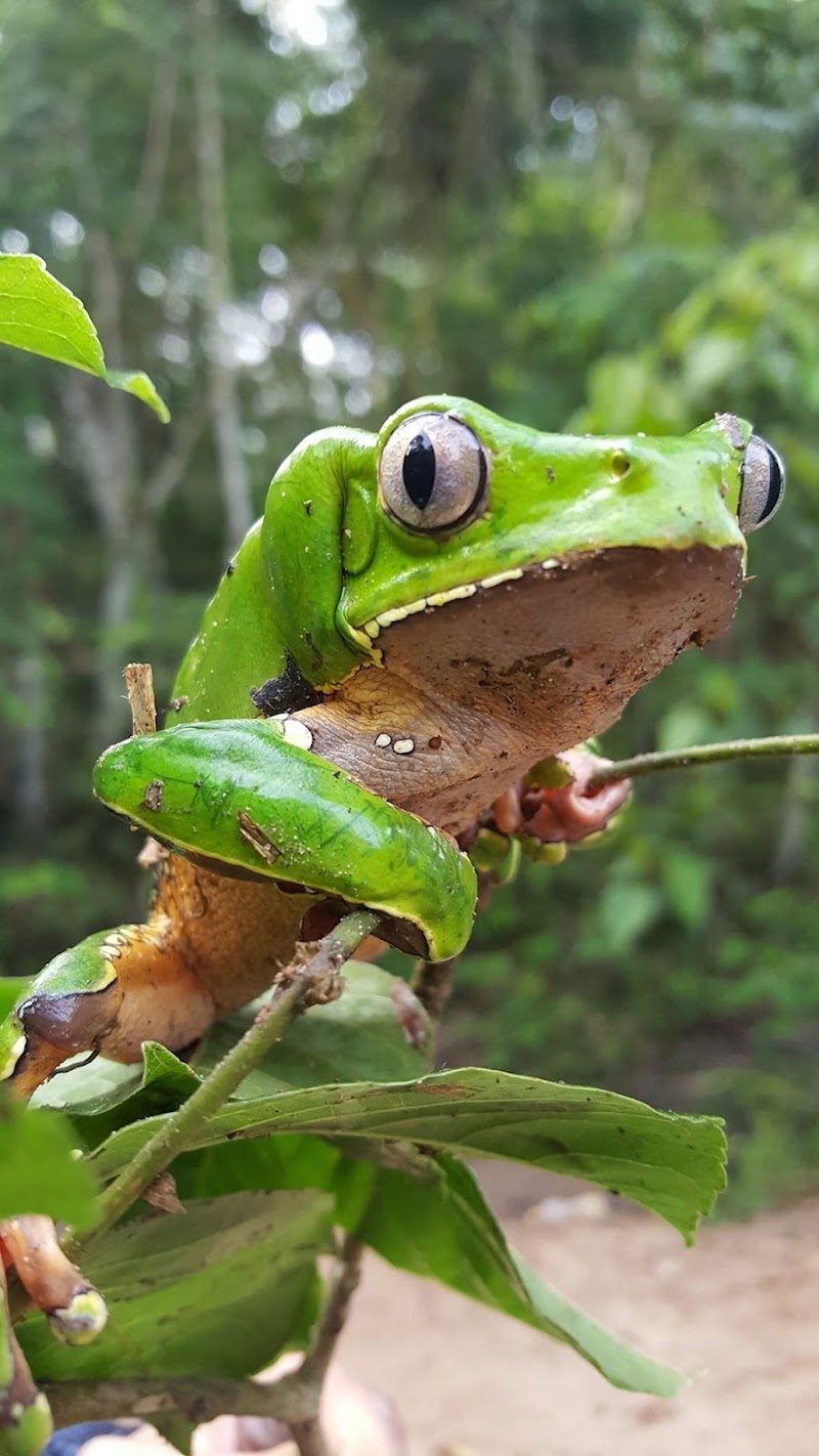 Sana Mundo Geel - Day Spa in Geel