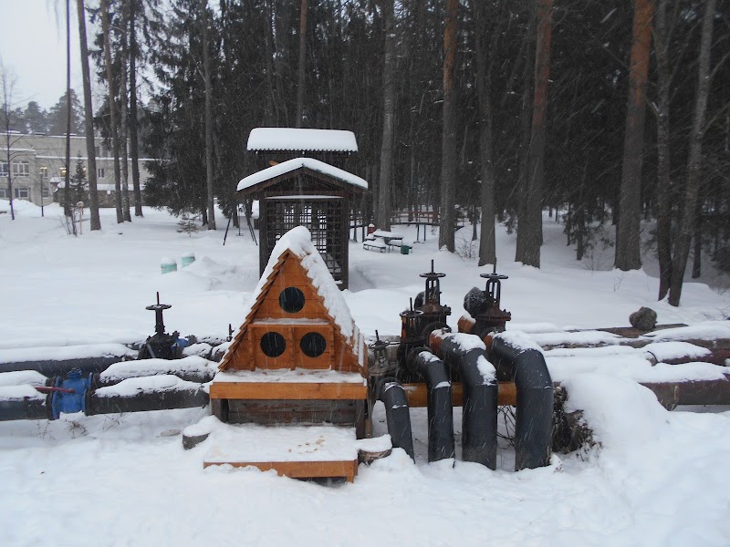 Sanatorium Obolsunovo Teikovsky District - Day Spa in Teikovsky District