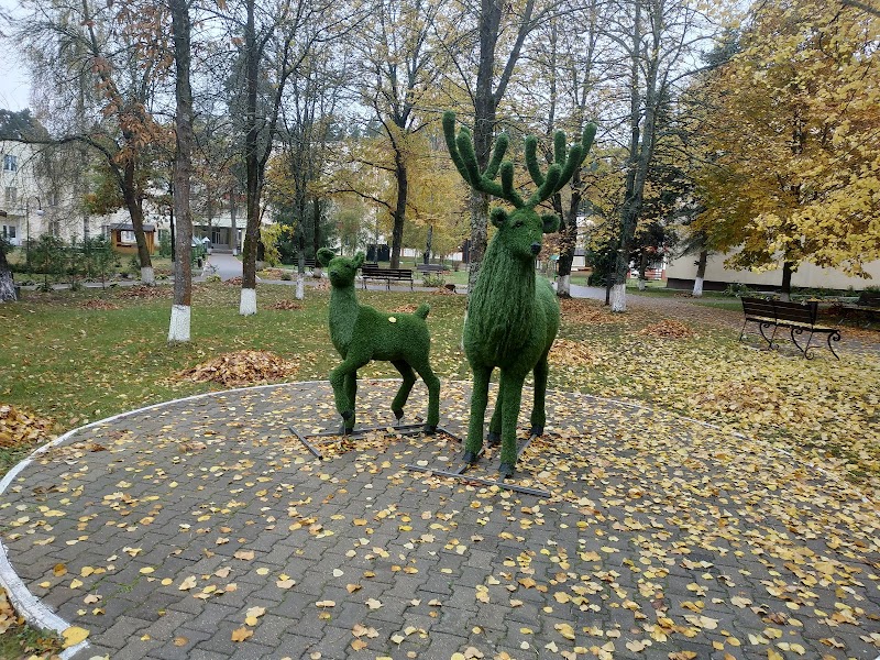 Sanatorium Sluch Borisov - Day Spa in Borisov