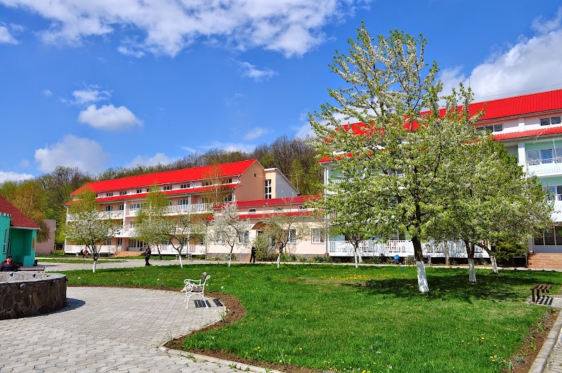 Sanatorium Teplytsia Vynohradiv - Day Spa in Vynohradiv