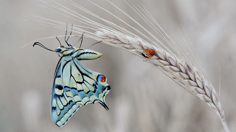 Sara-Ma Hönningen - Day Spa in Hönningen