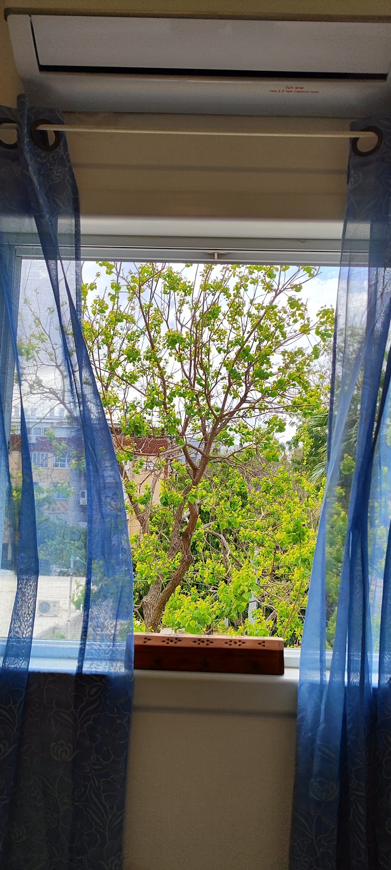 Sarit Shasha - Chinese Medicine, Acupuncture and Herbal Medicine Petah Tikva - Day Spa in Petah Tikva