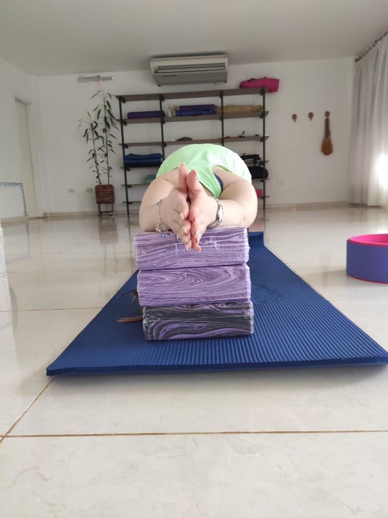 Sattva Espacio Holístico Encarnación - Day Spa in Encarnación