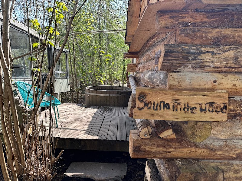 Sauna in the woods Norfolk