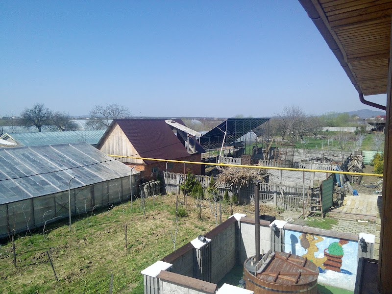 Saunas and tubs Vinogradiv Vynohradiv - Day Spa in Vynohradiv