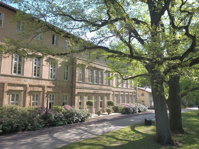 Schmerztherapie Ihr Masseur u. med. Bademeister aus Westfalen Bad Driburg - Day Spa in Bad Driburg