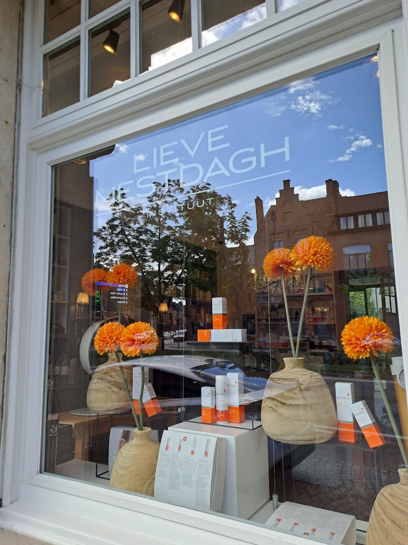 Schoonheidsspecialiste lieve mestdagh Bruges - Day Spa in Bruges
