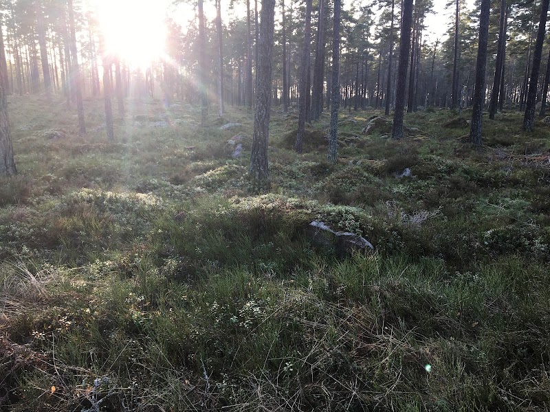 Seduction AB Johanneshov - Day Spa in Johanneshov