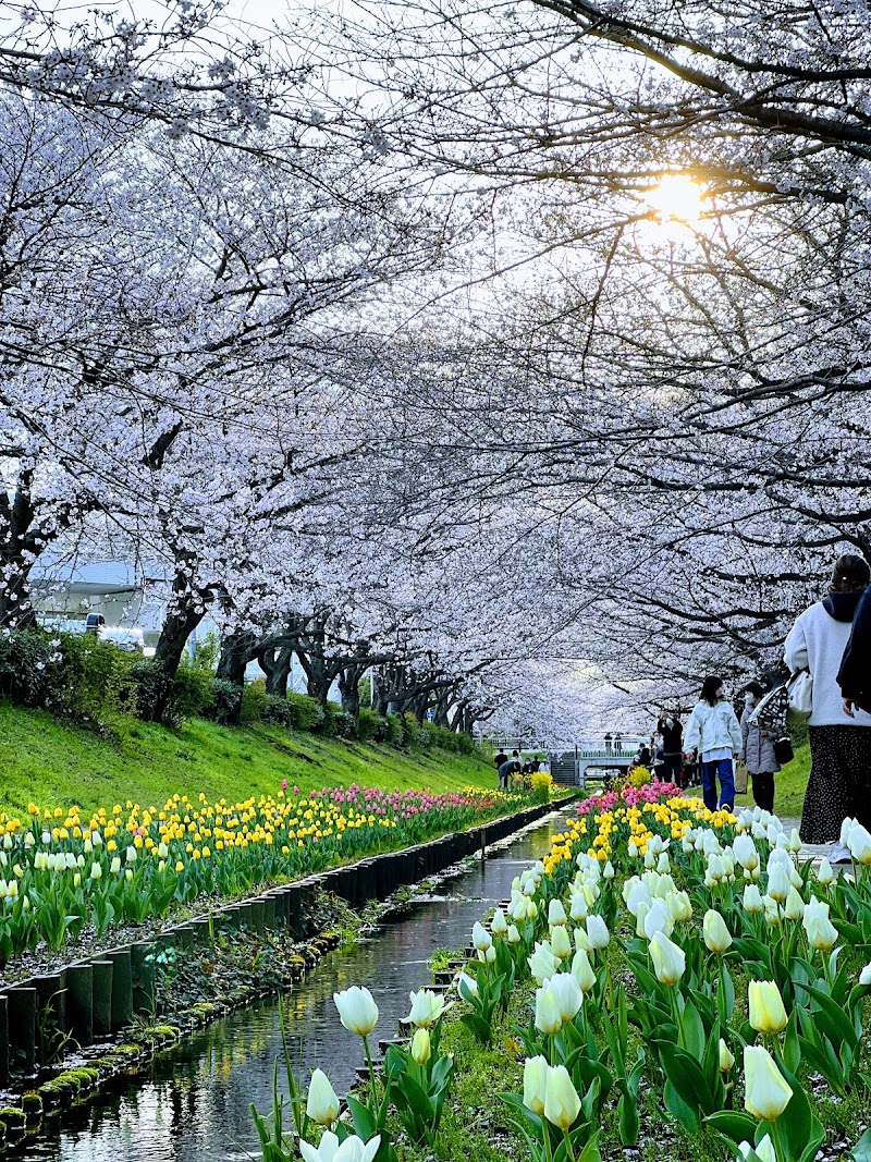 Seiryudo Kohoku Ward, Yokohama City - Day Spa in Kohoku Ward, Yokohama City